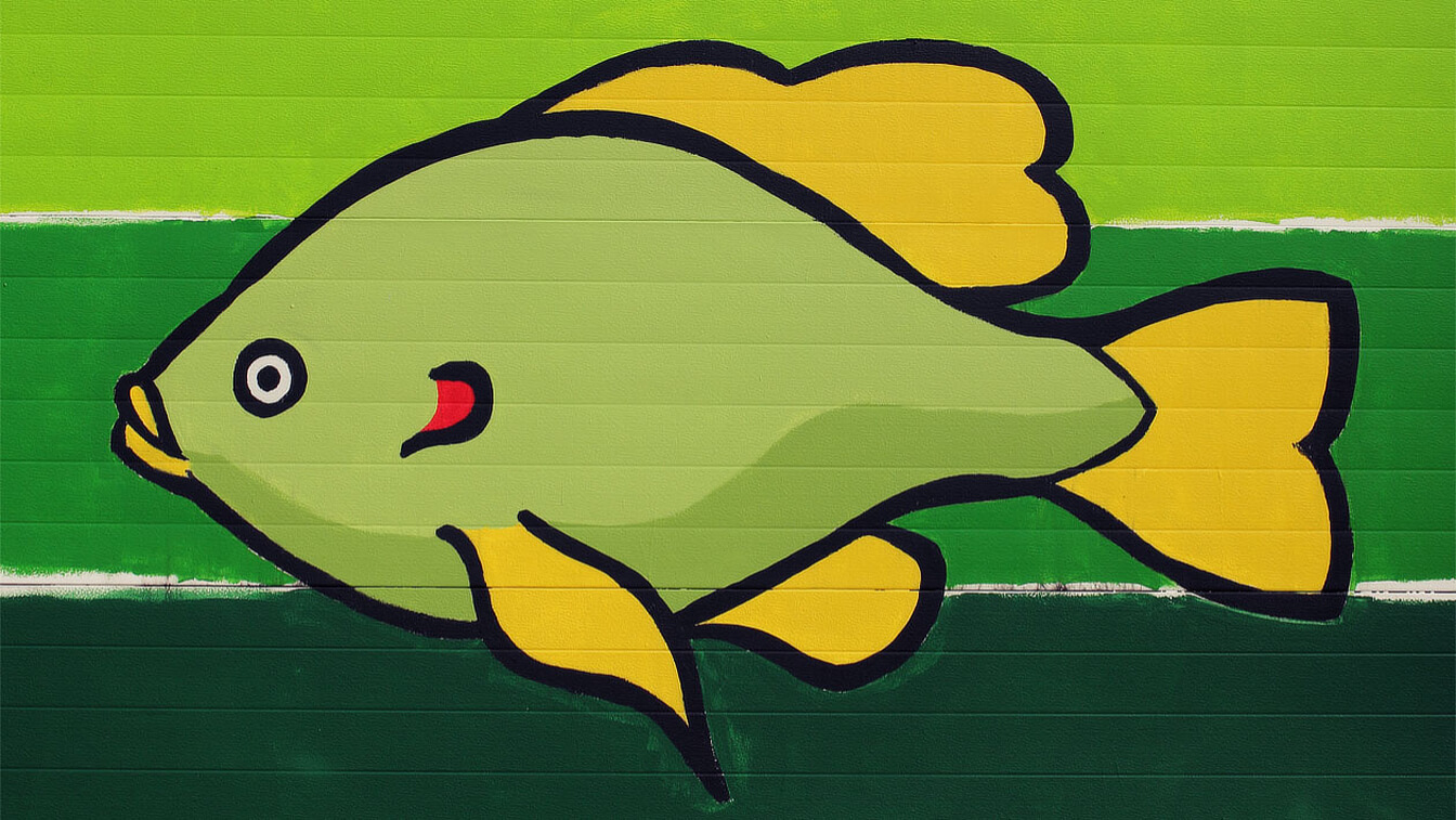 Redear Sunfish, Marc Anderson, Indy Do Day, Indianapolis, IN
