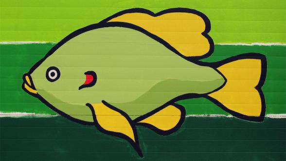 Redear Sunfish, Marc Anderson, Indy Do Day, Indianapolis, IN