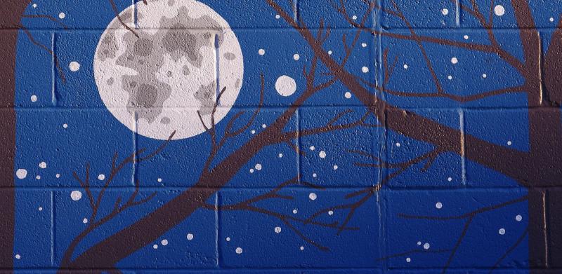 Moon, Stars, Trees, Doug Stanley